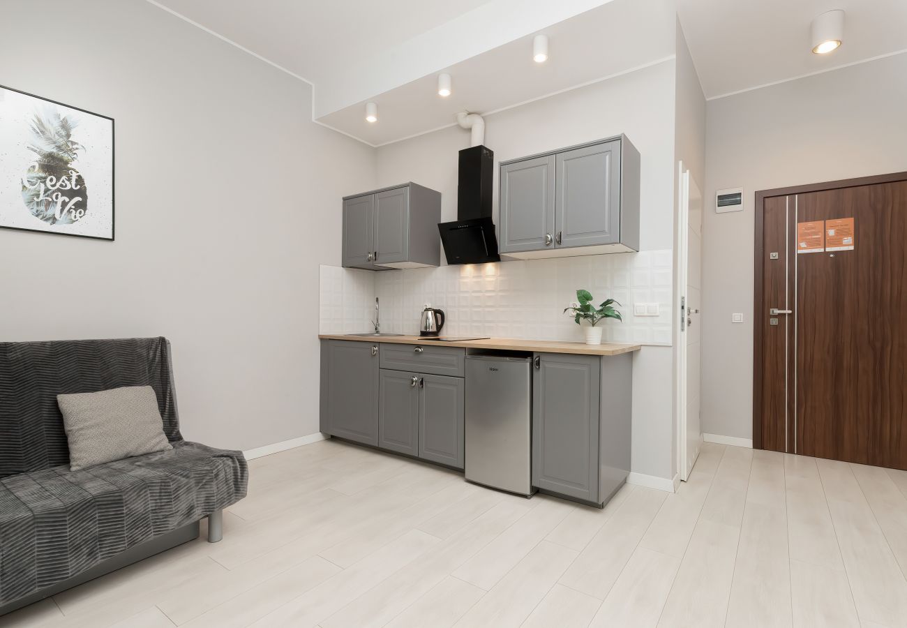 salon, sofa, telewizor, aneks kuchenny, jadalnia, stół, krzesła, szafa, apartament, wnętrze, wynajem