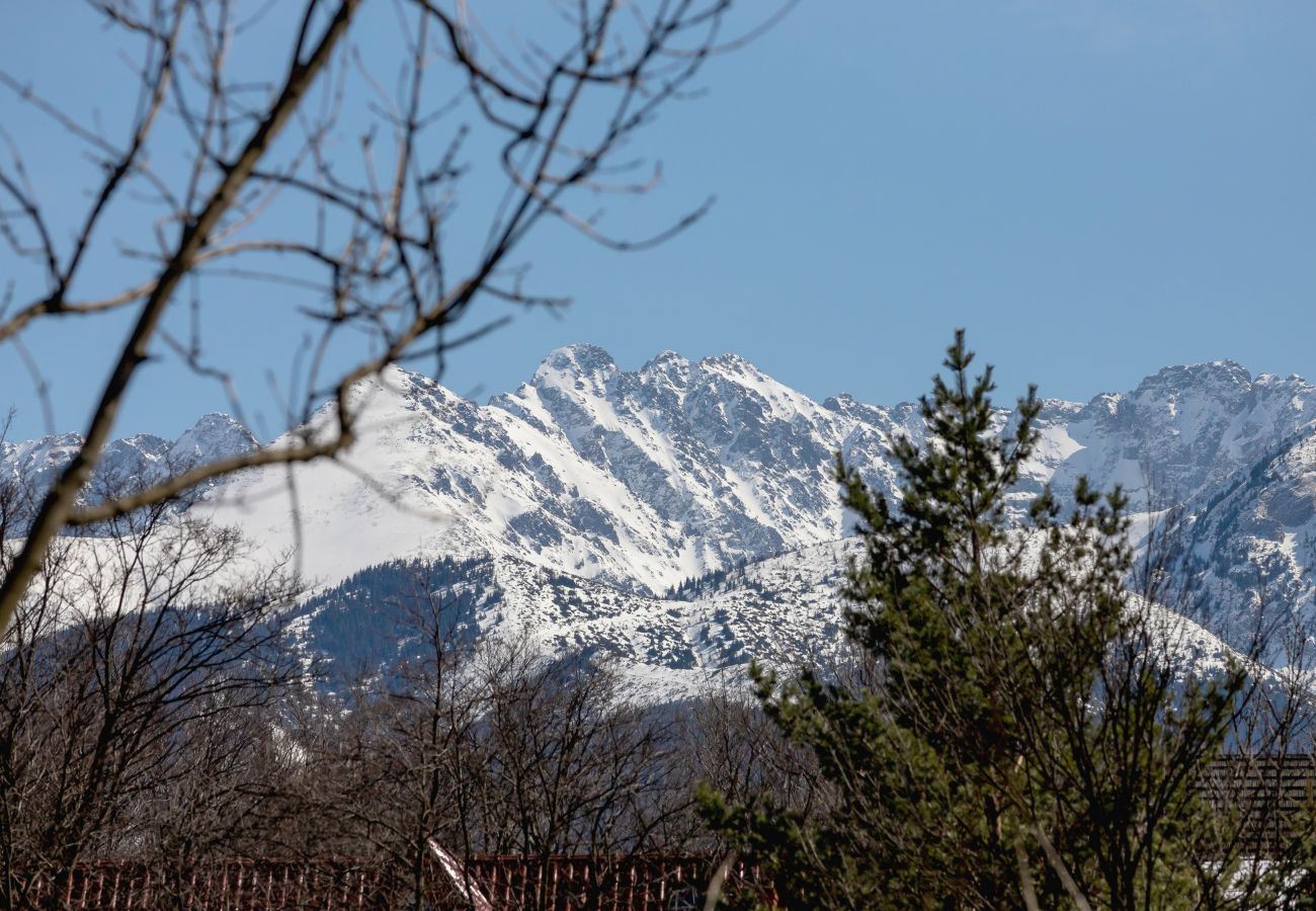 Apartament w Zakopane - Stara Polana 73, Apartament z 1 Sypialnią i Spa, Zakopane