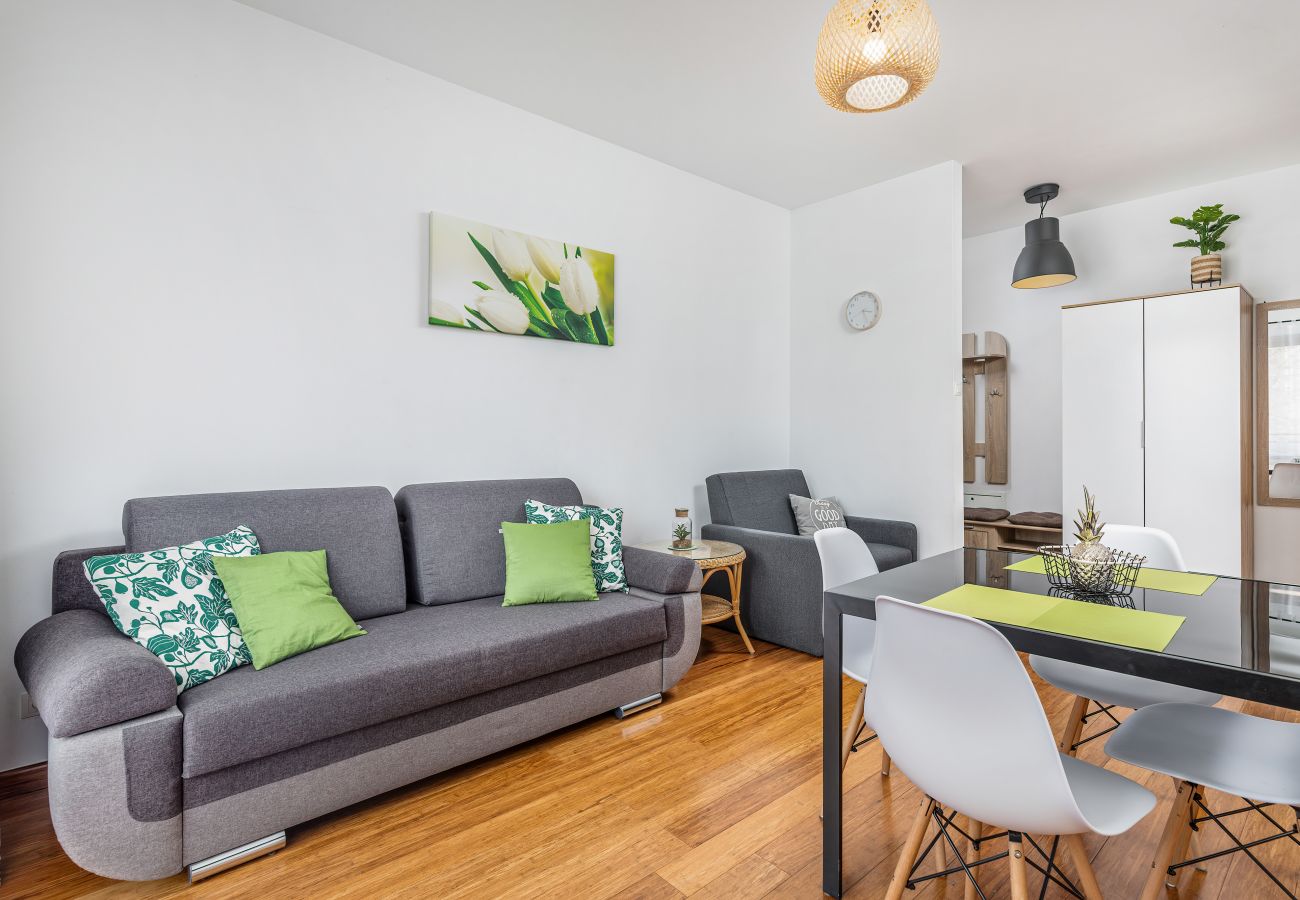 salon, jadalnia, stół, krzesła, aneks kuchenny, sofa, telewizor, apartament, wnętrze, wynajem