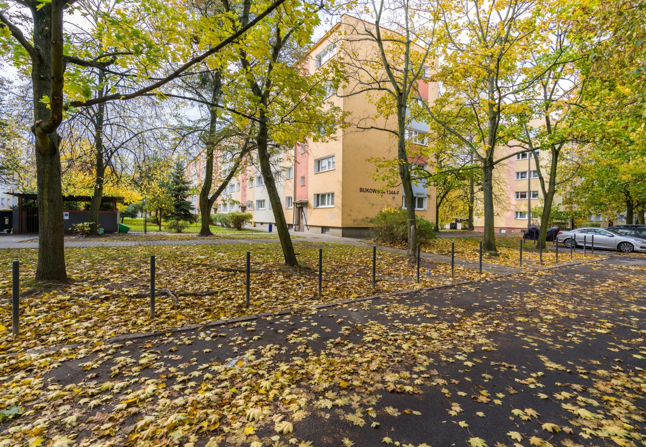 Apartament w Poznań - Apartament z 1 sypialnią niedaleko lotniska | Bukowska 134