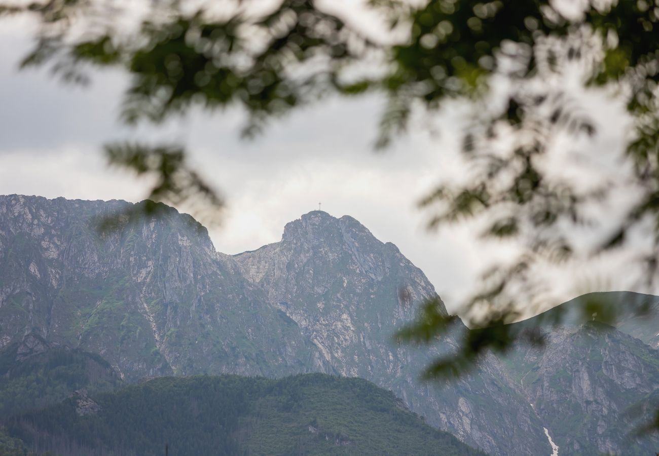 Studio w Zakopane - Klimatyczne Studio Zakopane z Balkonem i Widokiem na góry 